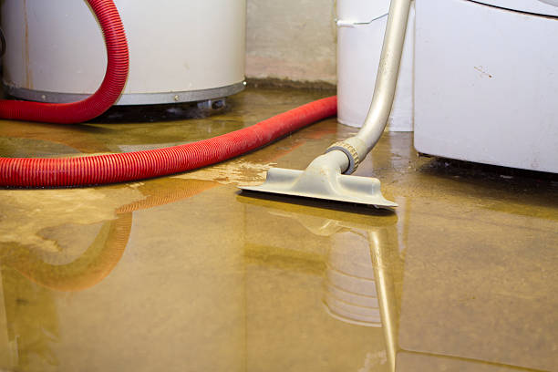 Best Professional water damage repair  in Noroton Heights, CT